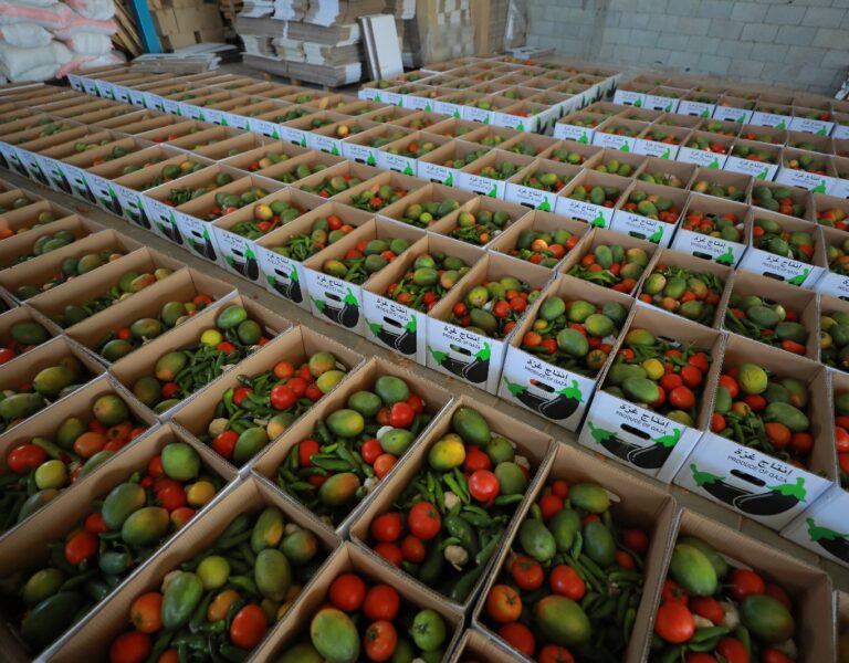 Distributes Vegetable Baskets Amid Gaza Shortage